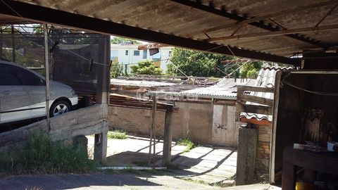 Image 4 - 184844