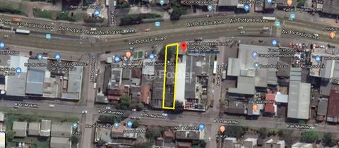 Image 7 - 186254