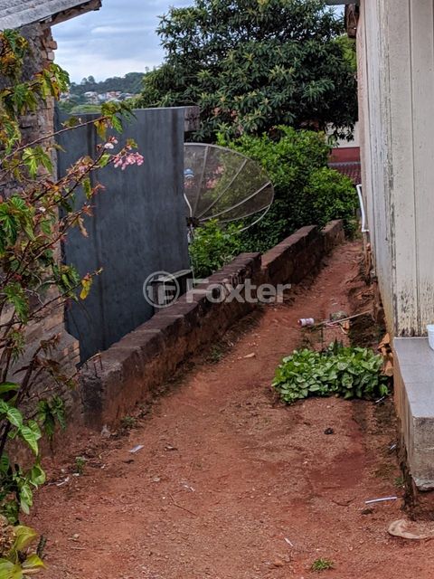 Image 2 - 195330