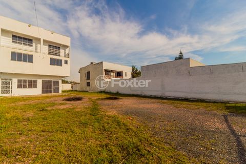 Image 6 - 196272