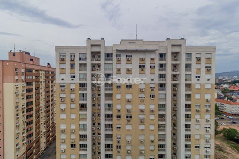 Image 6 - 196648