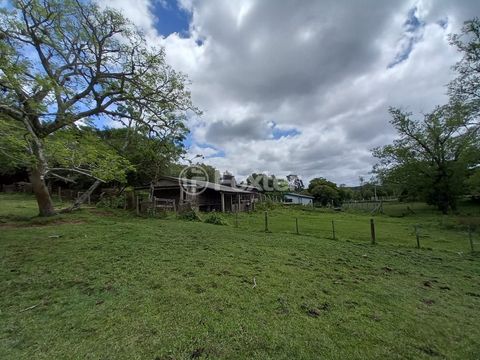 Image 4 - 199972