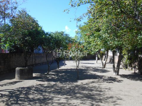Image 3 - 202915