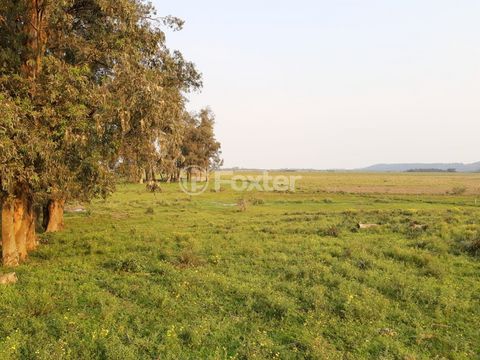 Image 4 - 203490
