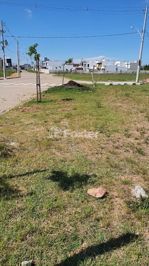 Image 16 - 204977