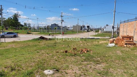 Image 15 - 204977