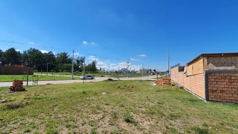 Image 12 - 204977
