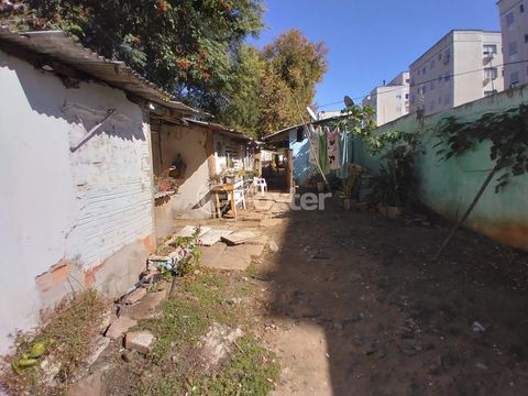 Image 3 - 208441
