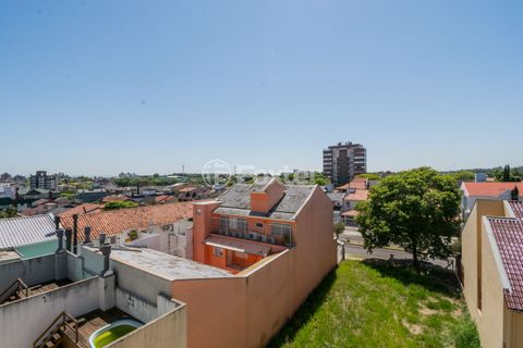 Image 8 - 209551