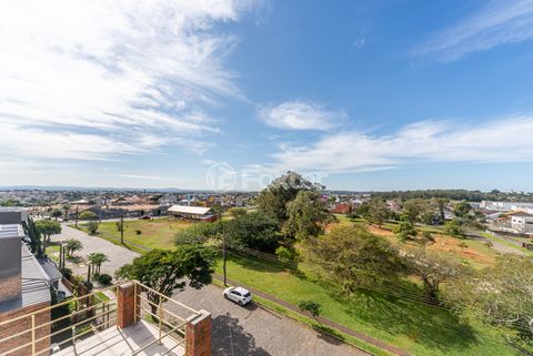 Image 12 - 211539
