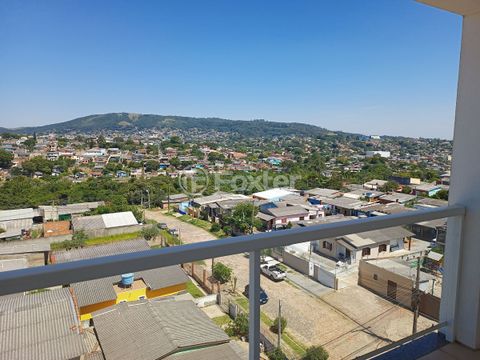 Image 7 - 214865