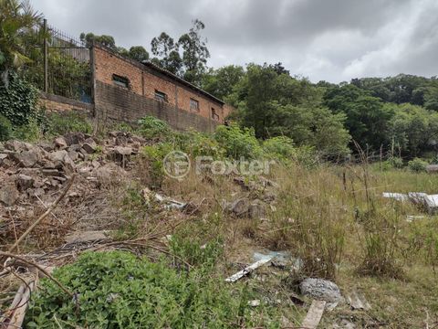 Image 4 - 216407