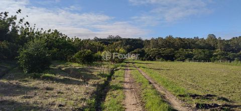 Image 7 - 219678