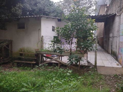 Image 12 - 220285