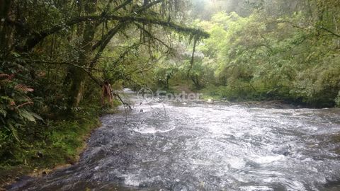 Image 10 - 220541