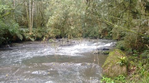 Image 5 - 220541