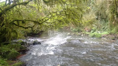 Image 15 - 220541