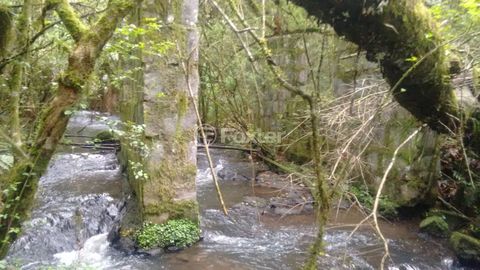 Image 7 - 220541