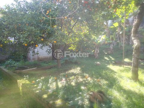 Image 11 - 220746