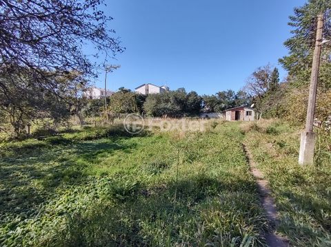 Image 10 - 222345