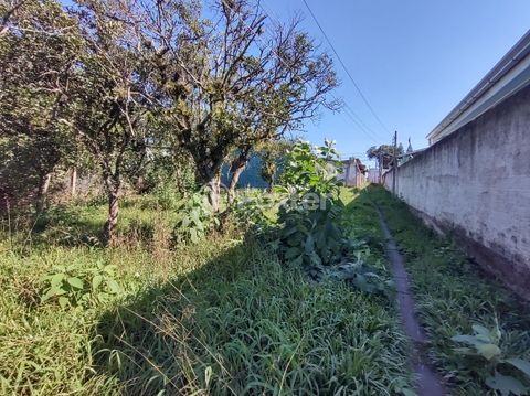 Image 9 - 222345