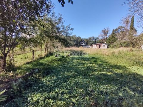 Image 8 - 222345