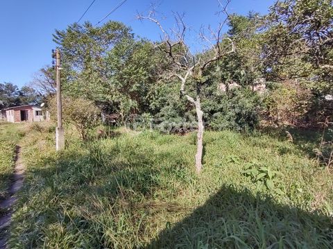 Image 13 - 222345