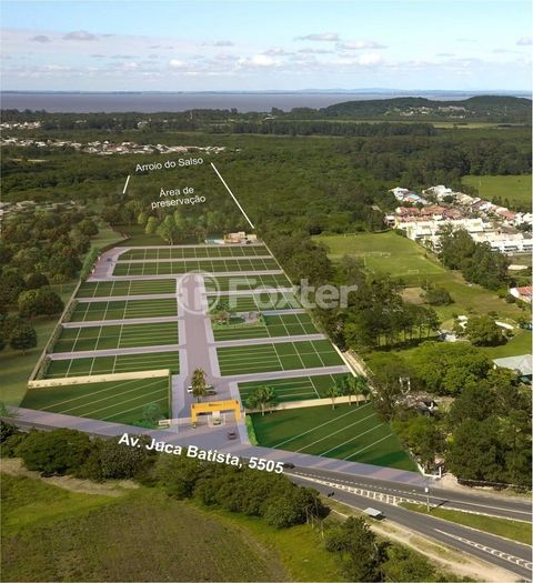 Image 7 - 223747