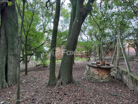 Image 6 - 225247