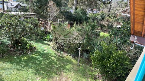 Image 10 - 228546