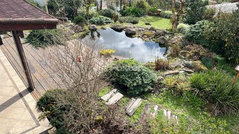 Image 8 - 228546