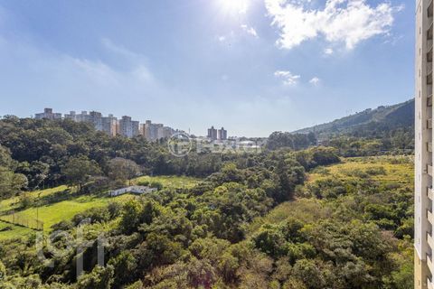 Image 15 - 231265