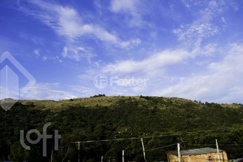 Image 14 - 231705