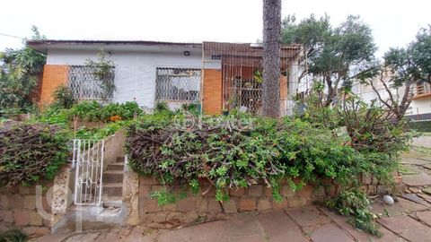 Image 4 - 233499