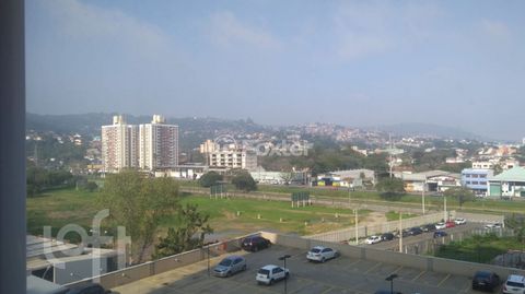 Image 8 - 235249