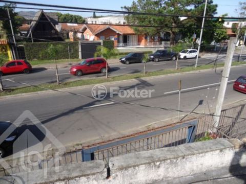 Image 4 - 236393