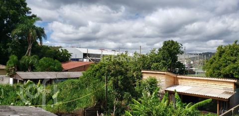 Image 3 - 236744
