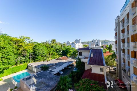 Image 16 - 238695