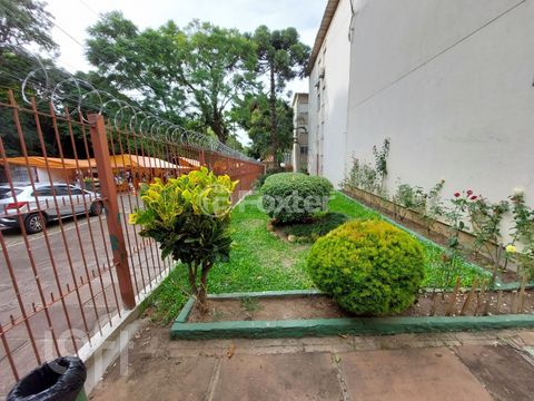 Image 9 - 239006