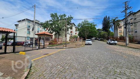 Image 15 - 239386