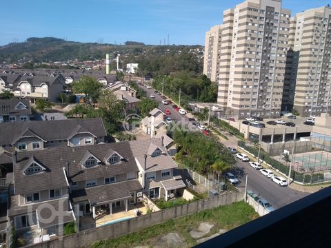 Image 11 - 239556