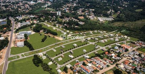 Image 11 - 241808