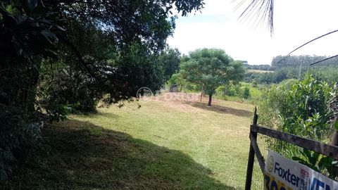 Image 11 - 242360