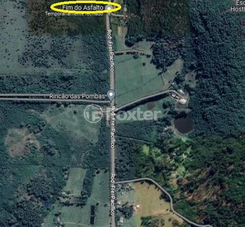 Image 19 - 242360