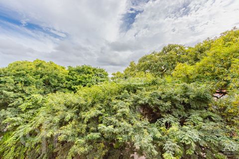 Image 4 - 242894