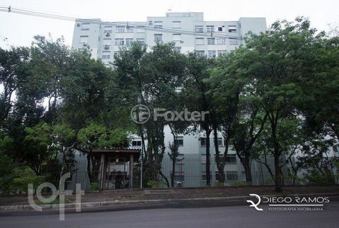Image 13 - 243142
