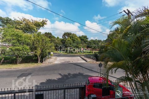 Image 6 - 243515