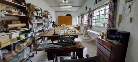 Image 8 - 244165