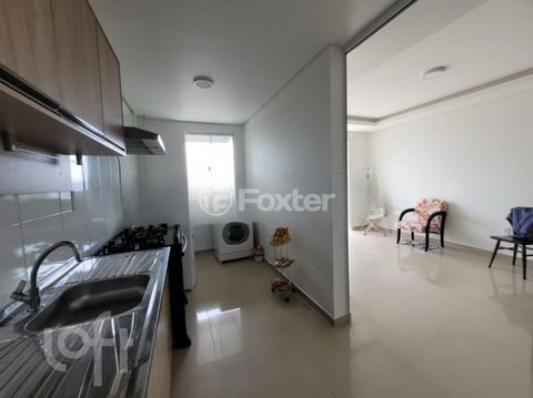 Image 7 - 244897