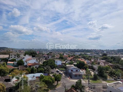 Image 1 - 244897